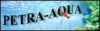Aquarium Fish for Wholesale